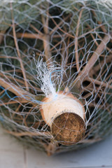 Closeup of a  packed green Nordmann fir is lying outside the house on the balcony and waiting for its use as Christmas tree