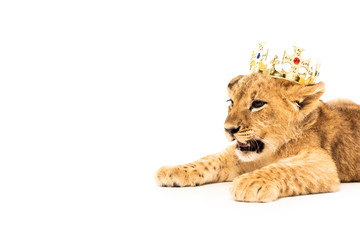 Free Free 303 Lion Cub With Crown Svg SVG PNG EPS DXF File