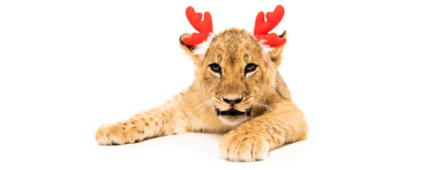 cute lion cub in red deer horns headband isolated on white