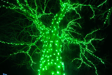 イルミネーション