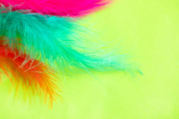 Bright abstract colorful feather background, carnival conceptm space for text