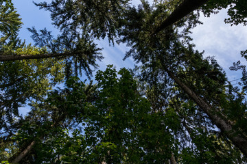 blick in den himmel