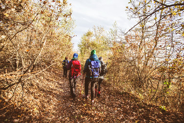 Fototapeta premium Hiking Group Of People Walking In Nature
