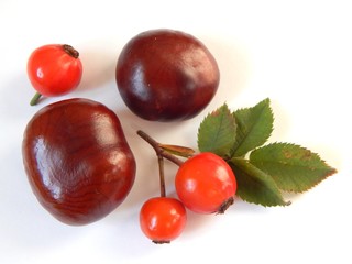 Rosehip berries and chestnut kernel in the shell. The fruits of autumn. 