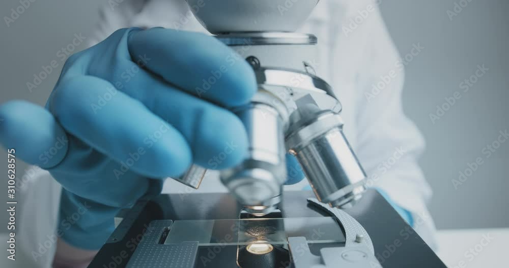 Wall mural close up shot of the scientist studies examining of test sample under the microscope in laboratory.