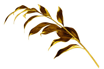 Tree branch with golden leaves on white background isolated closeup, decorative gold color plant sprig, yellow shiny metal twig, foliage illustration, floral design element, herbal symbol, botany sign