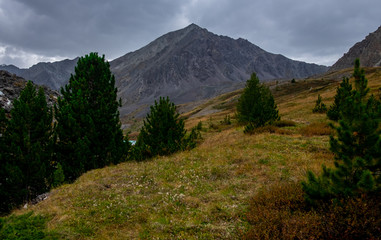 Fototapeta na wymiar Mountain landscape in cloudy weather in the Altai Republic.