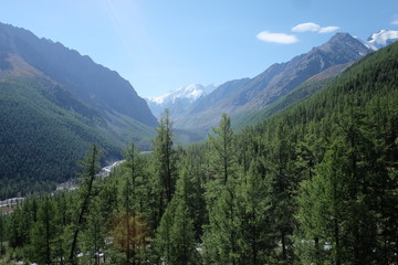 Mountain river in the Altai Republic.