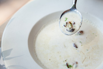 White creamy oringi and staw mushroom soup