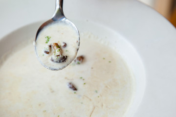White creamy oringi and staw mushroom soup
