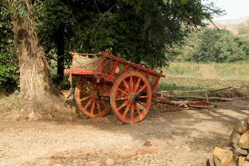Fototapeta na wymiar Cart. Rural agrucultrists in India use this for the local transportion. Maharasthra, India