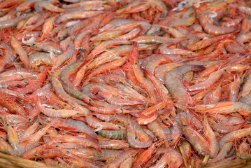 Prawns