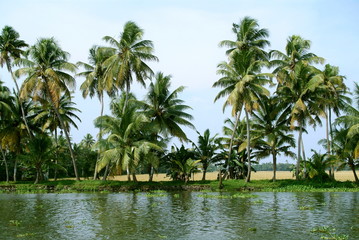 Fototapeta na wymiar Backwaters of Kerala 