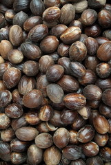 Close-up of plenty of Nutmegs (Jaiphal).