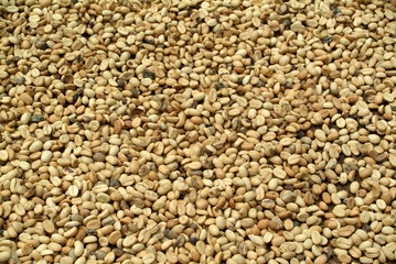 White coffee beans.