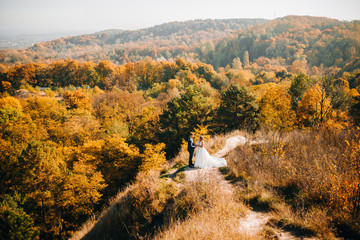 Wonderful newlyweds are standing on a hill in the middle of autumn forests and mountains. Panoramic view