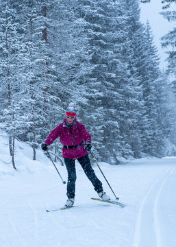 active senior woman on her cross country skis on ski track in the Fischlein Valley, Three peak Dolomites, South Tyrol, Italy