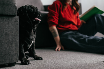 Selective focus of pug sitting by girl reading book on floor in living room, cropped view