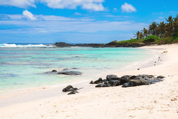 Fototapeta na wymiar Tropical beach with rocks and transparent sea in Mauritius