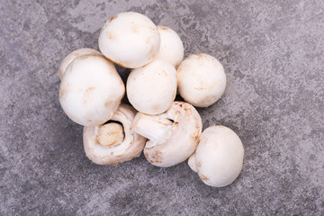 White champignons on a grey structured background