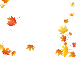 Maple leaves vector background, autumn foliage on white graphic design.