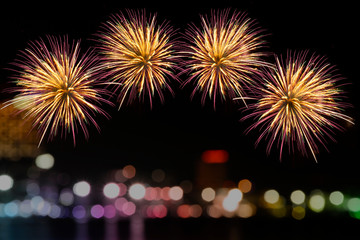 Colorful fireworks celebration and the city night light background.