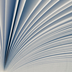 Blurred. A light background from the white pages of a white open book