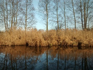 Obraz premium lake in autumn