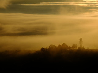 Obraz premium In the morning, sea of the misty mountain, blur background