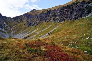Zielona Dolina Jaworowa © Jakub