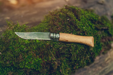Folding knife with a wooden handle rests on a stack of green moss
