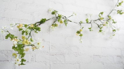 vine on a white brick wall backdrop with copy space