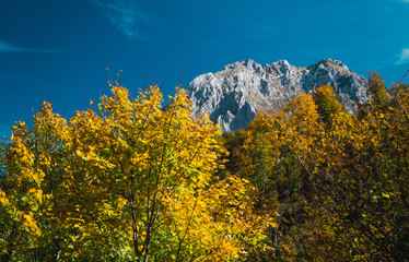 Mountain landscape in autumn with bright colors and huge stones
