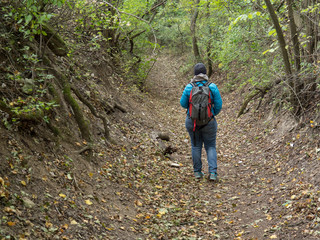 Obraz premium Randonneur dans la forêt
