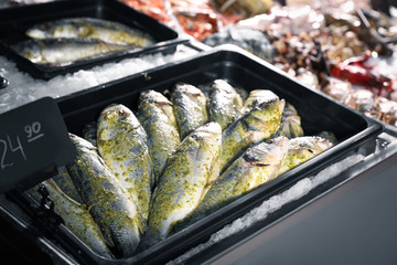 Fresh marinated fish in container on display, closeup