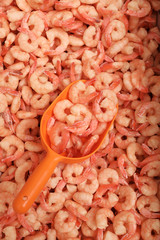 Shovel and fresh raw shrimps, top view. Wholesale market