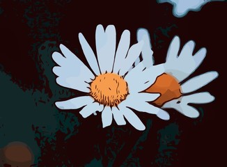 Flower Illustration for wallpaper or background