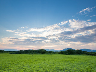 Obraz premium 夕暮れ