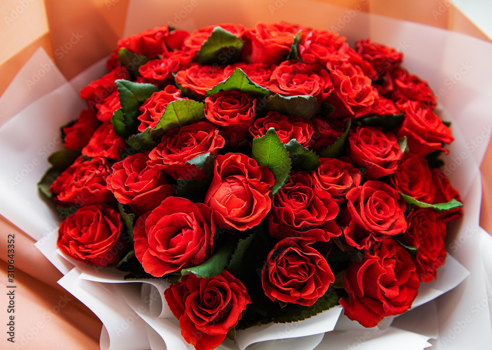 Wall mural beautiful red roses