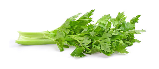 Celery on white background.