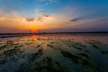 Thailand, Sky, Sunset, Agricultural Field, Sunrise - Dawn
