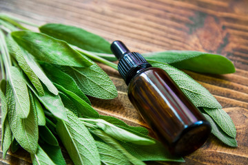 Sage oil, selective focus