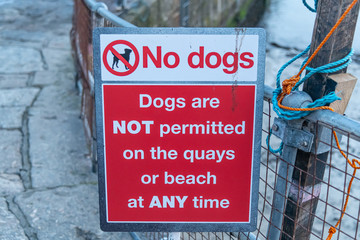 Obraz premium No dogs permitted on the quay or beach sign