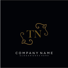 Fototapeta na wymiar Initial letter TN logo luxury vector mark, gold color elegant classical