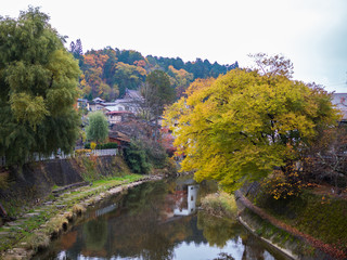 Fototapeta na wymiar Beautiful Autumn View River Japan Travel