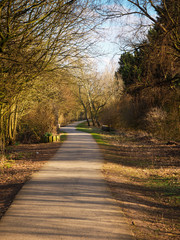 Shared cycle path and footpath through winter trees in dappled sunlight near York, England