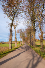 Fototapeta na wymiar Country road among trees in northern Poland. Europe
