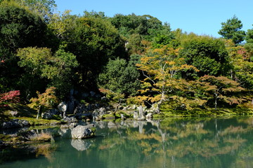 京都大本山天龍寺の紅葉し始めた日本庭園の風景