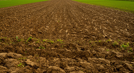 Farmingland in europe, Heidelberg