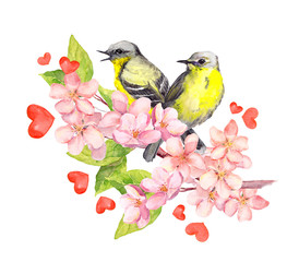 Birds on blossom branch with flowers. Watercolor